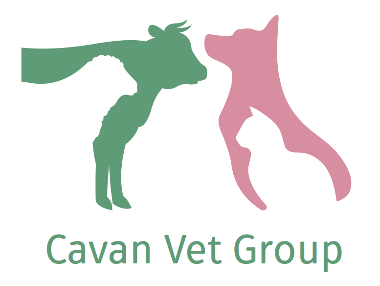 Cavan Vet Group